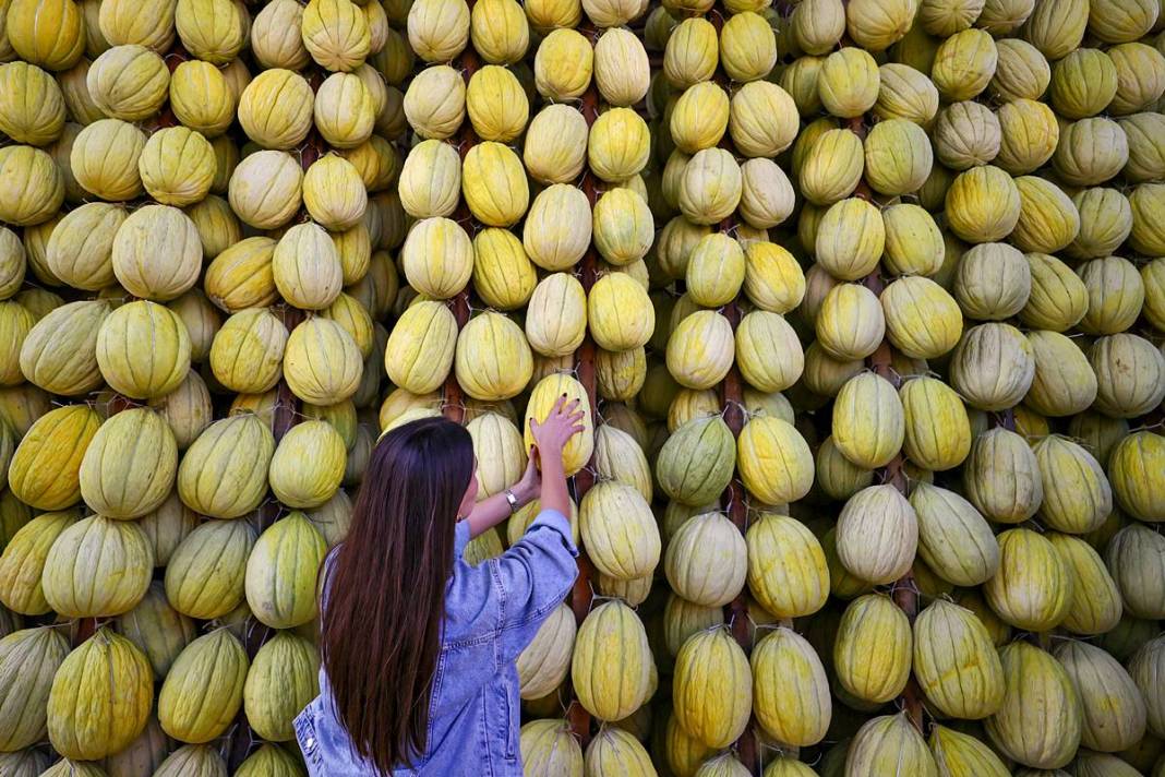 AB onaylı lezzet! Kırkağaç kavunu, kış aylarında da tezgahlarda 8